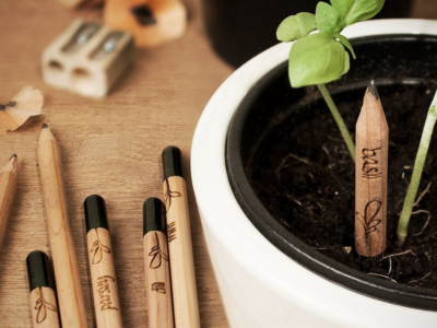 Los lápices plantables SproutWorld cumplen 10 años con cifras récord en 80 países
