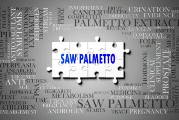 Saw Palmetto, de Serenoa Repens, potencia la salud prostática, urinaria y hormonal en hombres y mujeres