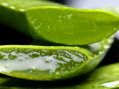 Ebanonatur se consolida como una tienda online de referencia en la venta de cosméticos elaborados a base de aloe vera