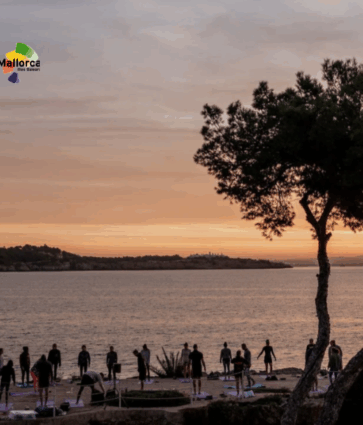 Mallorca BJJ and Yoga Festival, el festival de otoño que une deporte, bienestar e intercambio cultural
