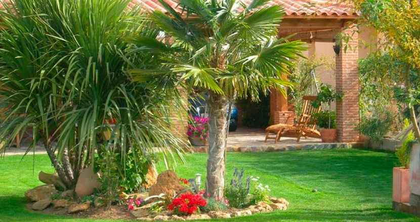 Guía completa para elegir, cuidar y disfrutar de estas plantas tropicales en casa