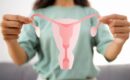 <div>Síndrome Ovárico Metabólico Poliendocrino: por qué el antiguo «ovario poliquístico» ya no se entiende solo como una cuestión ginecológica </div>